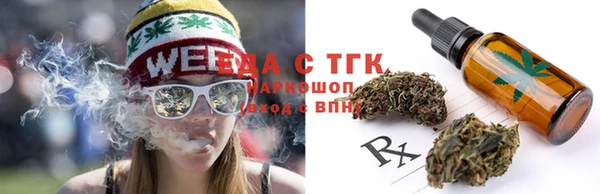 крисы Пионерский