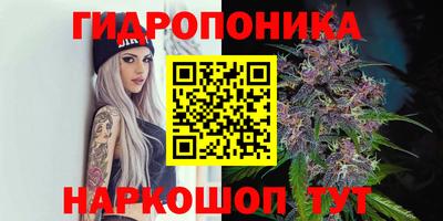 apvp Гусь-Хрустальный
