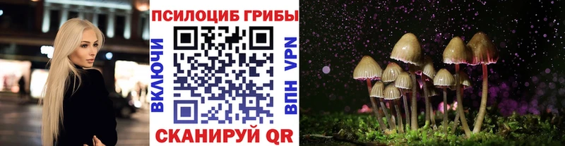даркнет какой сайт  Сунжа  Псилоцибиновые грибы Psilocybe 