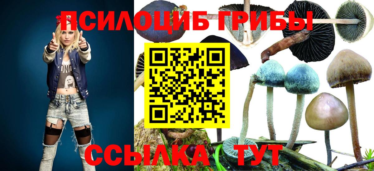 Галлюциногенные грибы Magic Shrooms Сунжа