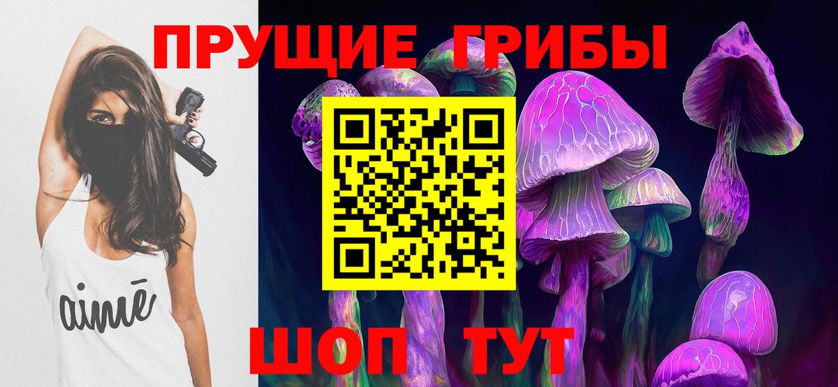 Псилоцибиновые грибы Psilocybine cubensis Сунжа