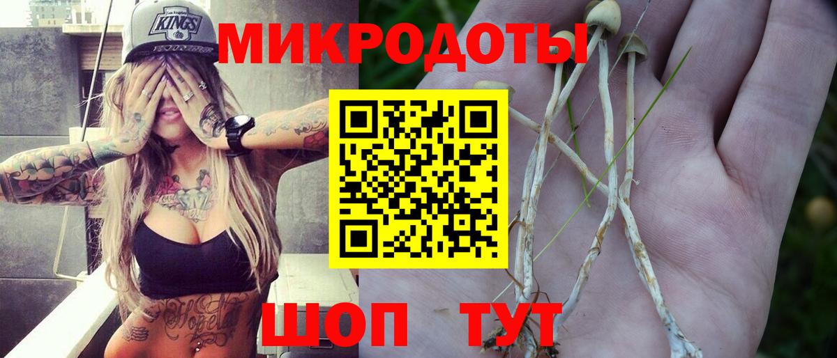 Сунжа  Галлюциногенные грибы Psilocybe  Галлюциногенные грибы мухоморы  Вход с VPN 