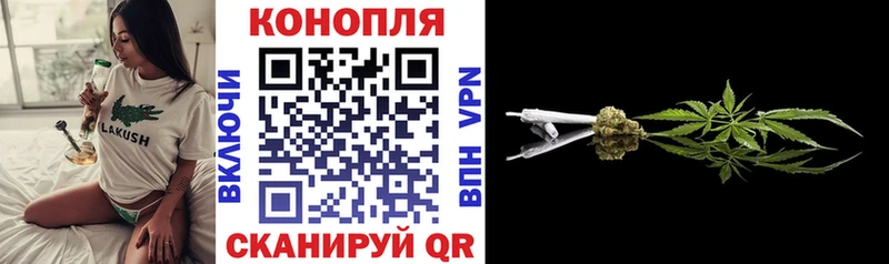 Бошки марихуана Bruce Banner  Сунжа 